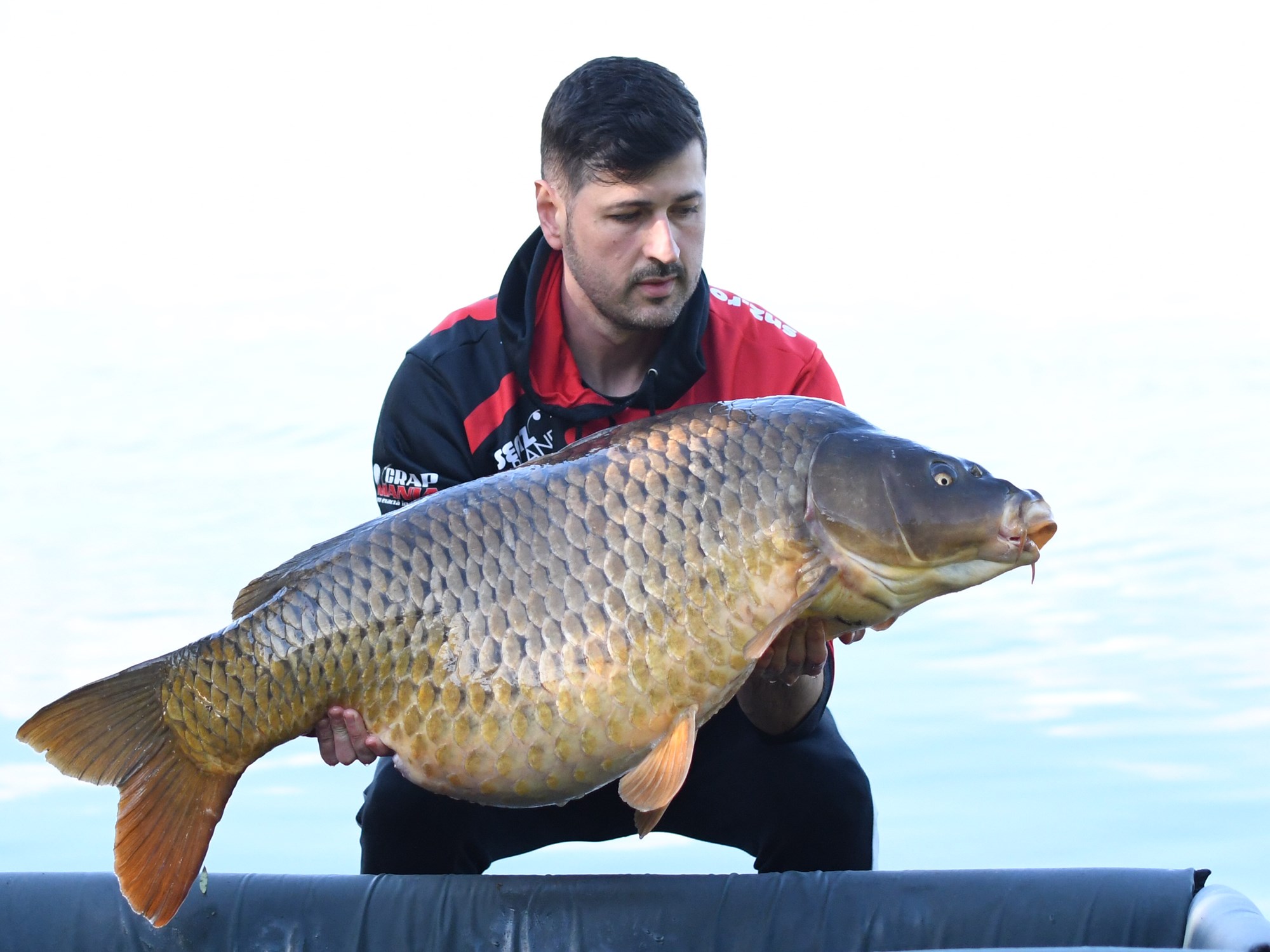 Tancabesti 7 - 10 mai - DSC8466.jpg